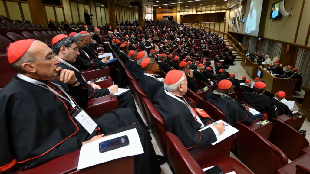 Cardinals meet with Pope Leo XIV in the third session of the consistory on Jan. 8, 2025, at the Vatican. | Credit: Vatican Media