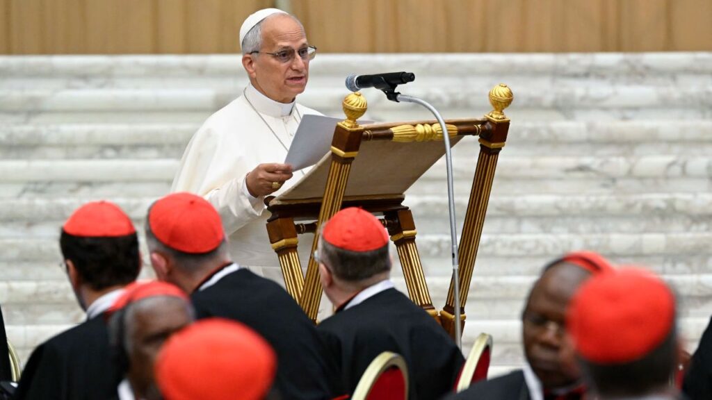 Pope Leo XIV addresses 178 cardinals on the first of two days of discussions for the second extraordinary consistory of cardinals, held in the Vaticanʼs Paul VI Hall on June 26, 2026. | Credit: Vatican Media
