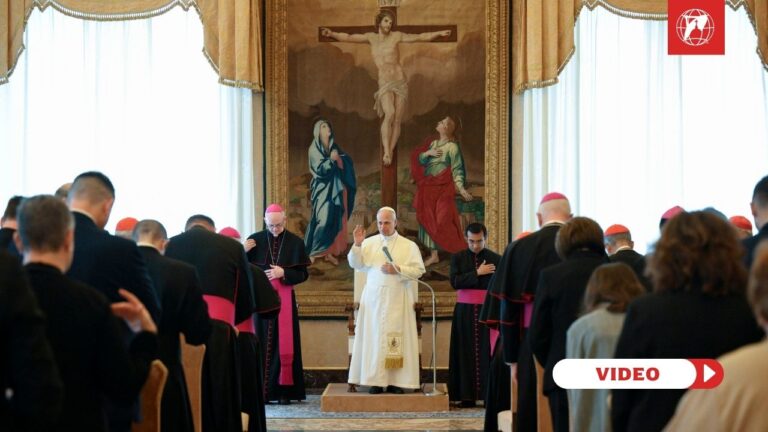 Pope Leo gives a blessing to Participants in the Plenary Assembly of the Dicastery for Evangelization – Section for Fundamental Questions Regarding Evangelization in the World. Credit: Vatican Media