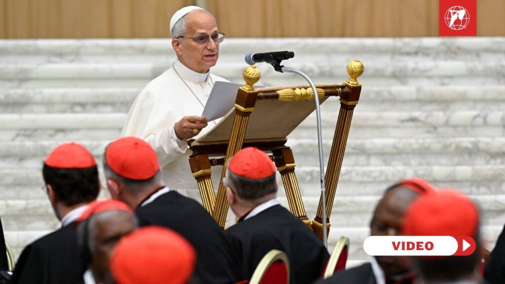 Pope Leo addresses the Cardinals at the Extraordinary Consistory from June 26-27, 2026. Credit: Vatican Media