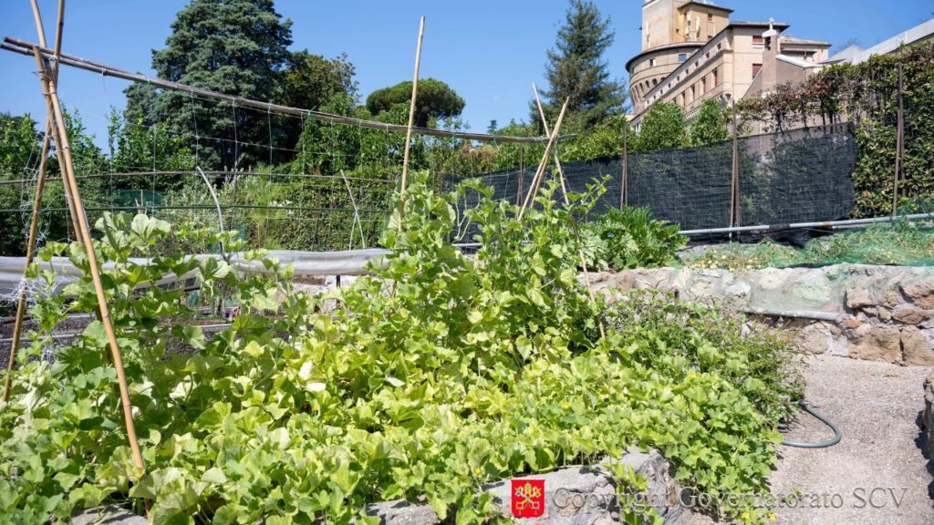 The fresh produce grown in the vegetable garden and orchard in Vatican City feeds the Benedictine nuns living in the Mater Ecclesiae Monastery and supports the nearby Missionaries of Charity-run soup kitchen. | Credit: Governorate of Vatican City State