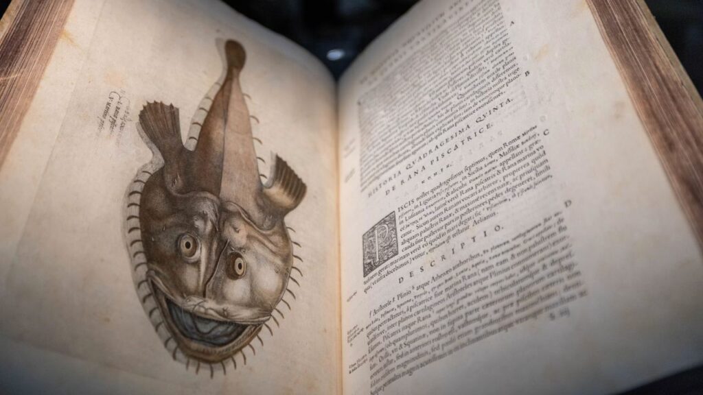 “Aquatilium Animalium Historia” (1557), the centerpiece of the Vatican Library’s “AQVA” exhibit, is a masterwork of Renaissance typography, scientific rigor, and fine engraving by Ippolito Salviani. | Credit: Daniel Ibanez/EWTN News