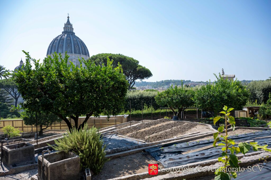 The Vatican vegetable garden, almost a tenth of an acre of cultivable soil, is now maintained with 100% organic agricultural practices. | Credit: Governorate of Vatican City State